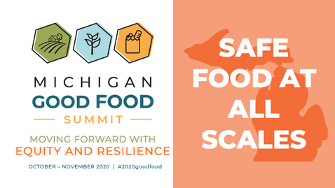 Thumbnail for 2020 Summit - Safe Food at All Scales
