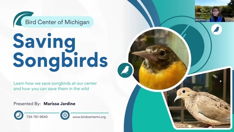 Thumbnail for Birds and Coffee Chat: Bird Center of Michigan