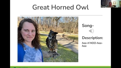 Thumbnail for Birds and Coffee Chat - Owls 