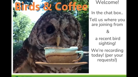 Thumbnail for entry Birds &amp; Coffee Chat: Owls 