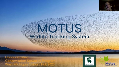 Thumbnail for entry Birds and Coffee Chat - Motus Wildlife Tracking System