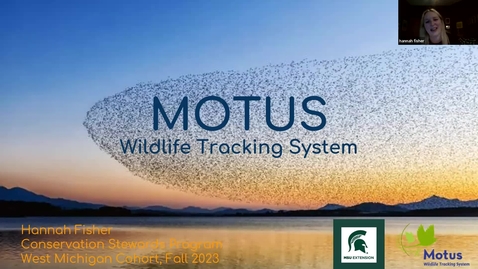 Thumbnail for Birds and Coffee Chat - Motus Wildlife Tracking System