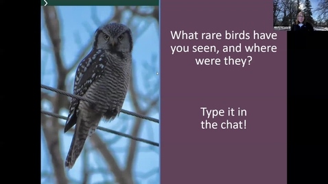 Thumbnail for Birds and Coffee Chat: MI Rare Birds 2024 