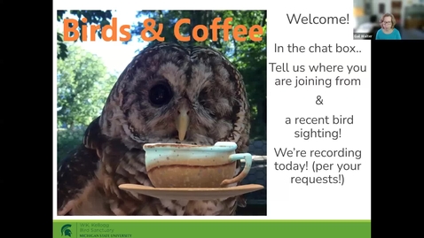 Thumbnail for entry Birds and Coffee Chat - How to mitigate bird threats