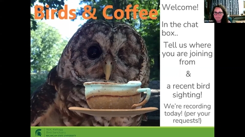 Thumbnail for Birds and Coffee: Bird Beaks