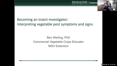 Thumbnail for entry Ag Ideas Veg, 1 Mar 2024 - Becoming an insect investigator: interpreting  vegetable pest symptoms and signs