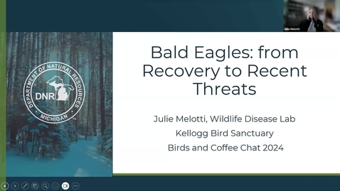 Thumbnail for entry Birds and Coffee Chat: Eagles w Julie Melotti