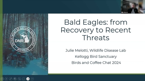 Thumbnail for Birds and Coffee Chat: Eagles w Julie Melotti