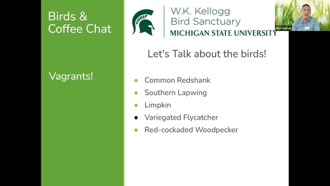 Thumbnail for Birds &amp; Coffee Chats: Rare birds