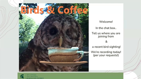 Thumbnail for Birds and Coffee: Birding Hot Spots Audubon Society of Kalamazoo (ASK)