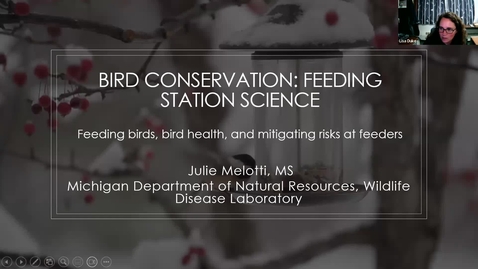 Thumbnail for Birds and Coffee Chat: Bird Conservation - Feeding Station Science 