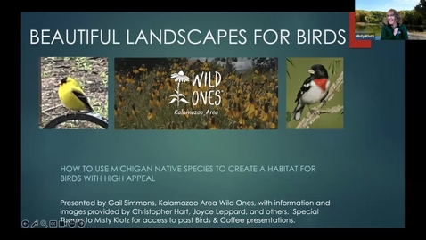 Thumbnail for Birds and Coffee Chat - Native Plants
