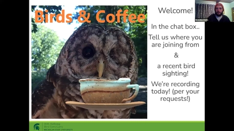 Thumbnail for Birds and Coffee Chat -Love Birds 