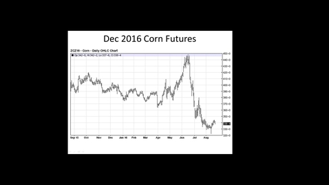Thumbnail for Grain Marketing Update August 23, 2016