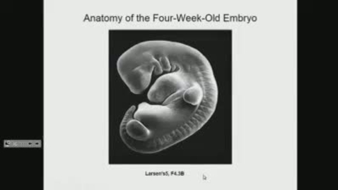 Thumbnail for entry ANTR510 (010) Embryology of the Head &amp; Neck