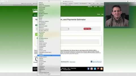 Thumbnail for Noninsured Crop Disaster Assistance Program (NAP) Decision Tool Instructional Video