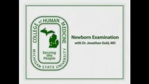 Thumbnail for entry Newborn Examination