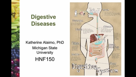Thumbnail for entry Mini Lecture 2.2 - Digestive Diseases
