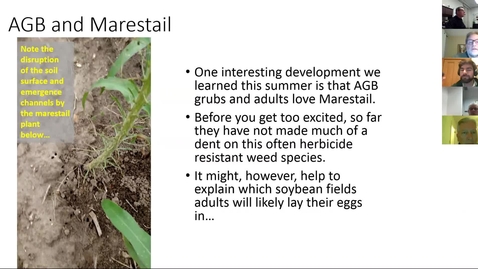 Thumbnail for entry Virtual Breakfast 4/12/18: Asiatic Garden Beetle and Marestail