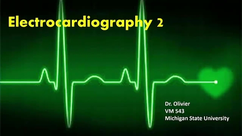Thumbnail for entry VM 565-ECGs2 (oldEcho360_Lect9)