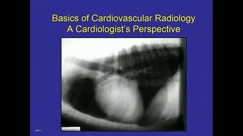 Thumbnail for entry VM 565-Basics_Cardio_Radiology (oldEcho360_Lect3)