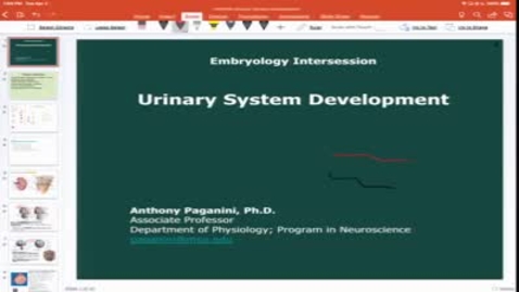 Thumbnail for entry Embryology Intersession 1P - 4/2/19_001
