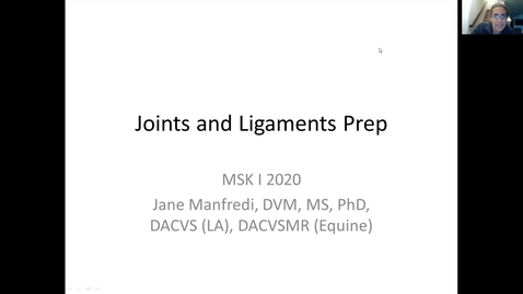 Thumbnail for entry VM 516-Joint and Ligament-Manfredi