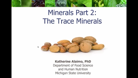 Thumbnail for entry Mini Lecture 5.3 - Minerals Part 2