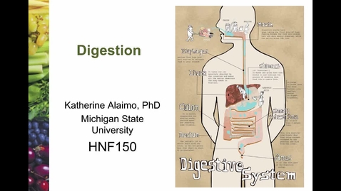 Thumbnail for entry Mini Lecture 2.1 - Digestion