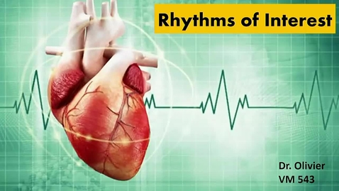 Thumbnail for entry VM 565-Mgmt_Common_Arrhythmias1 (oldEcho360_Lect10)