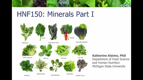 Thumbnail for entry Mini Lecture 5.2 - Minerals Part 1
