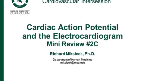 Thumbnail for CPR Intersession: Cardiac Action Potential and the Electrocardiogram