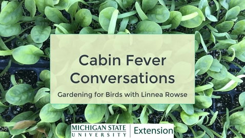 Thumbnail for entry Cabin Fever Conversations - Gardening for Birds
