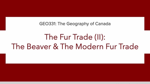 Thumbnail for GEO331: 2B. The Fur Trade: The Beaver &amp; The Modern Fur Trade