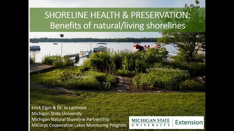 Thumbnail for entry Shoreline Health and Preservation