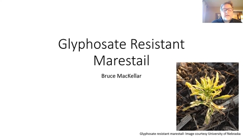 Thumbnail for entry 4-10-18 Breakfast Meeting - Marestail and Asiatic Garden Beetle