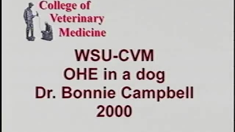 Thumbnail for entry WSU-CVM-OHE in dog-Campbell