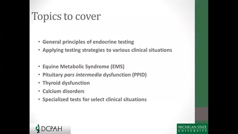 Thumbnail for entry Equine Endocrine Testing, 4.27.2016