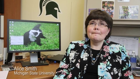 Thumbnail for JRN108 - Alice Smith on Public Relations