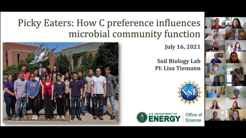 Thumbnail for Andrew Curtright, 2021 KBS-LTER Graduate Fellow