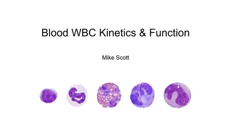 Thumbnail for entry VM 523-WBC Kinetics and Functions