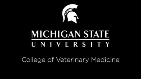 Thumbnail for entry PDI 634-Hypothyroidism in Dogs KRR