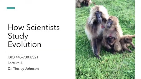 Thumbnail for entry Lecture 4_How Scientists Study Evolution_Week 2