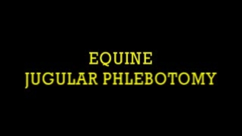 Thumbnail for entry Equine Jugular Phlebotomy