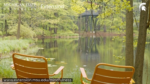 Thumbnail for Gentle Rain in Whiting Forest | Michigan State of Mindfulness