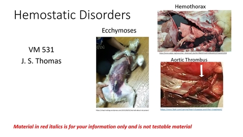 Thumbnail for entry VM 531-Hemostatic Disorders (FS21)