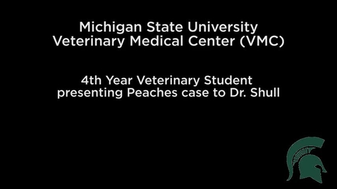 Thumbnail for entry VM 579-Student Presenting case to faculty
