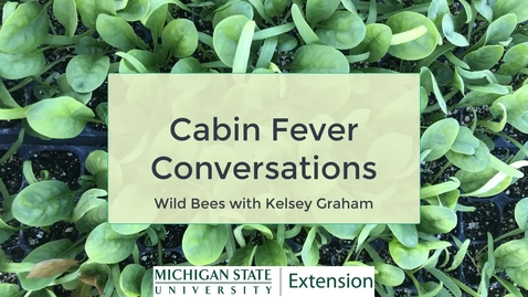 Thumbnail for entry Cabin Fever Conversations - Wild Bees with Kelsey Graham