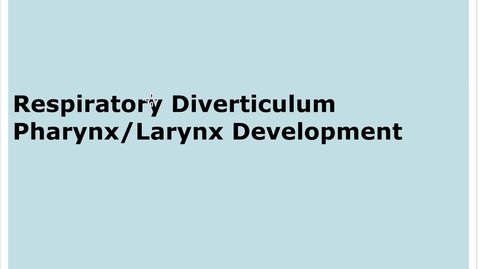 Thumbnail for entry 7-2 Respiratory Tree  Pharynx Larynx Development