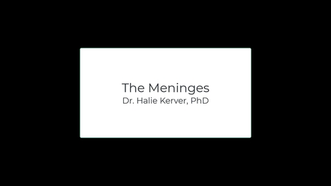 Thumbnail for entry OST571 (Lab 1.3) The Meninges